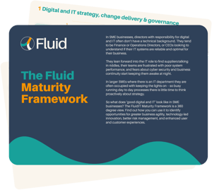Fluid Maturity Framework